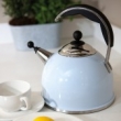 W3605-  ROESTVRIJSTALEN FLUITKETEL (KETTLE) DUCK EGG BLUE